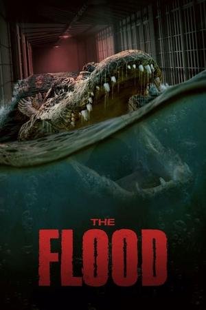 Home - Best IPTV Service USA 20 the flood